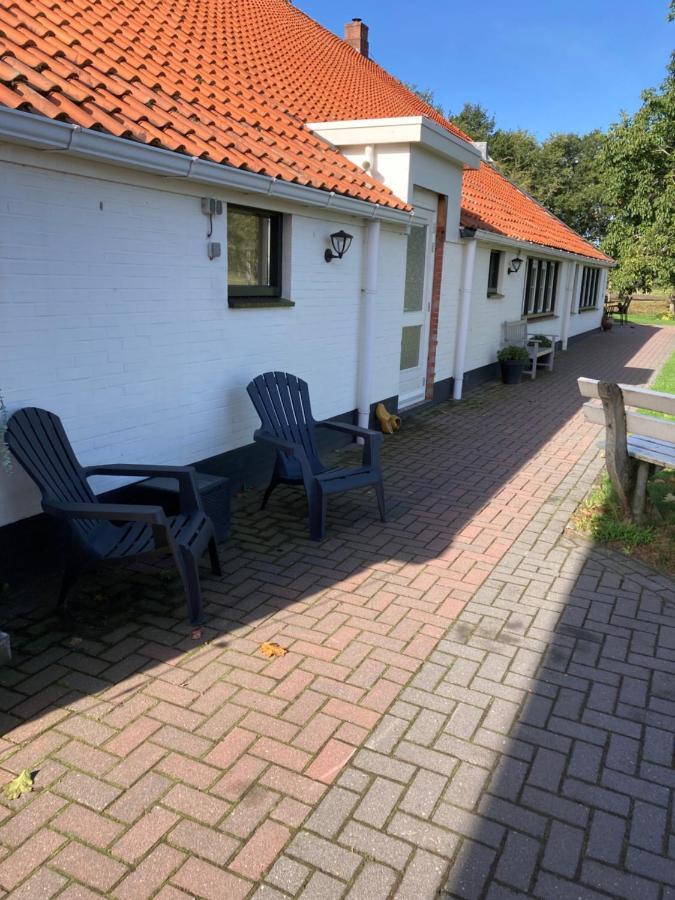 bed en breakfast westerwolde Lejlighed Sellingen Eksteriør billede