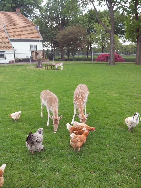 bed en breakfast westerwolde Lejlighed Sellingen Eksteriør billede